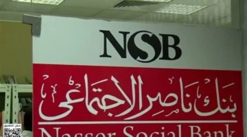 تعديلات جديدة.. فئات مستحقة وشروط الحصول على مساعدات بنك ناصر لعام 2026